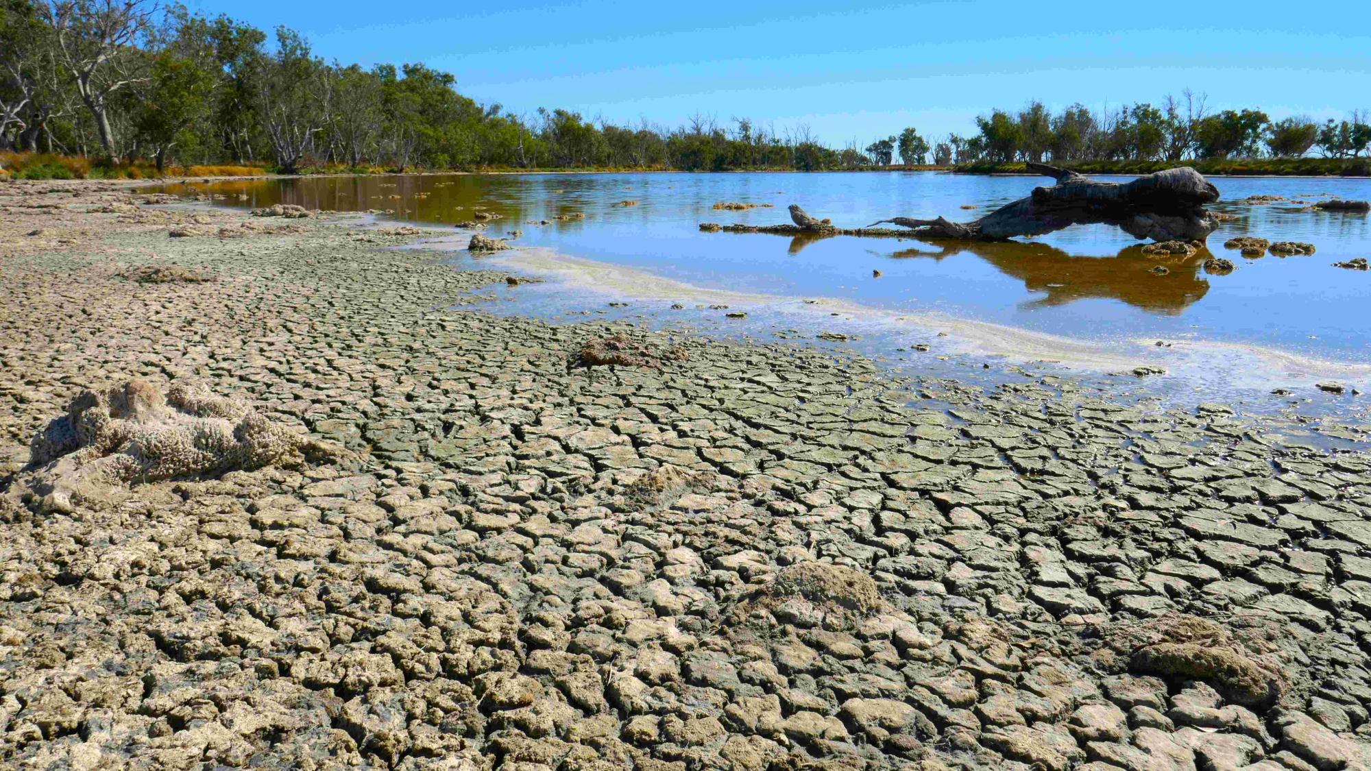 Do preço dos alimentos à falta de água: entenda como o Super El Niño pode afetar sua vida