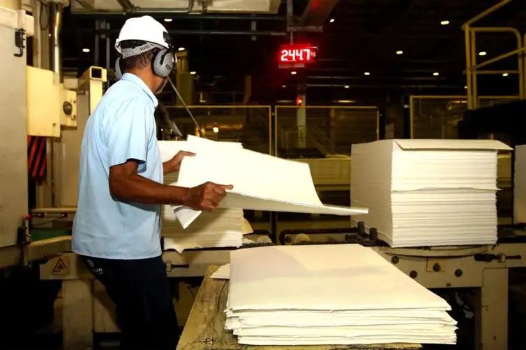 Produção florestal no país alcança recorde de R$ 47,9 bilhões em 2025