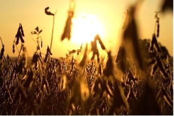 Ordem de mistura dos insumos agrícolas exige atenção para rotinas de aplicação na lavoura