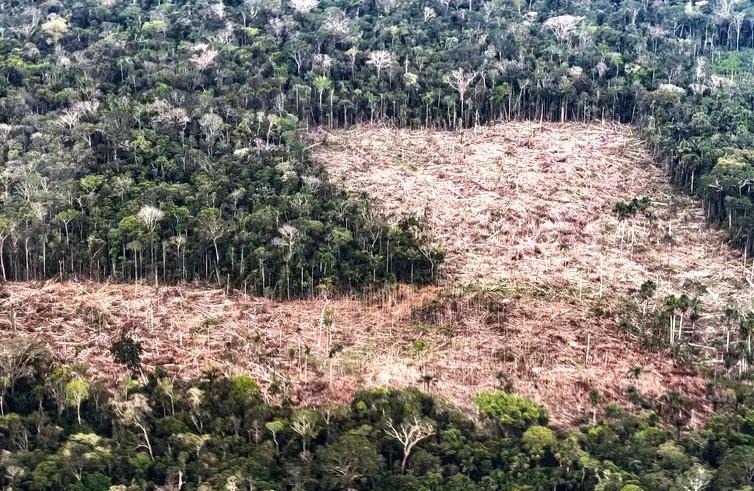 Veja os planos de governo de Flávio e Lula para meio ambiente e clima