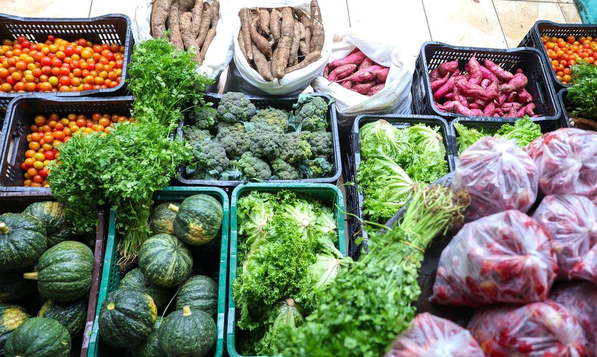 Segurança alimentar exige esforço coletivo e articulação