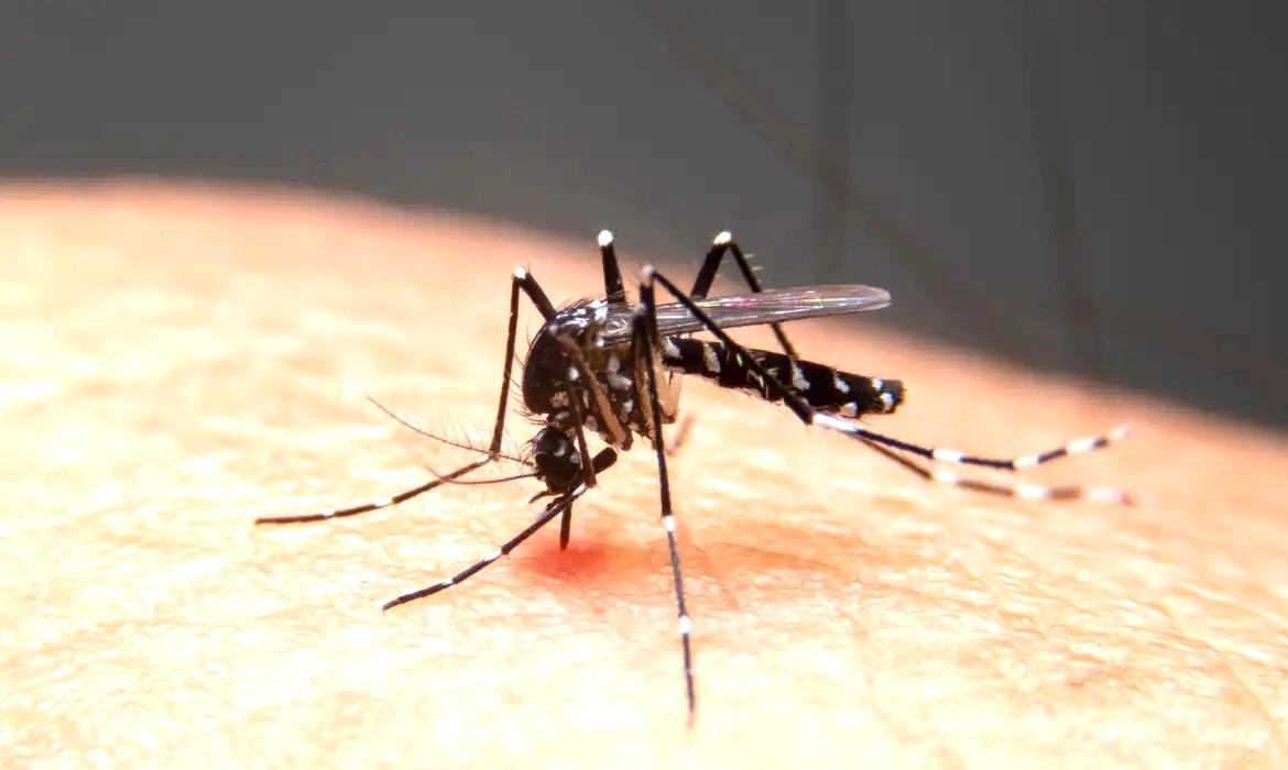 Mudanças climáticas já causam aumento de doenças infecciosas no país