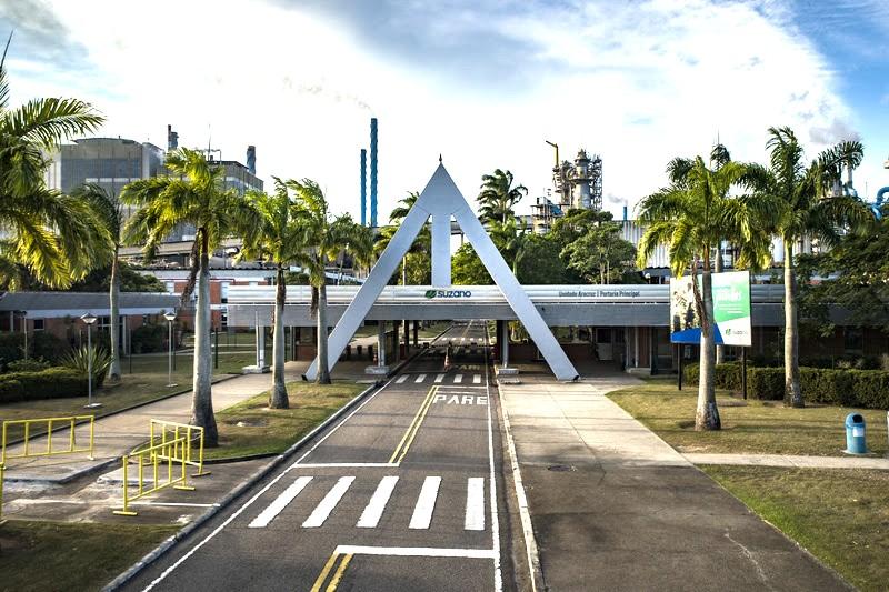 Suzano está com vagas de emprego para trabalhar em Aracruz, no Espírito Santo