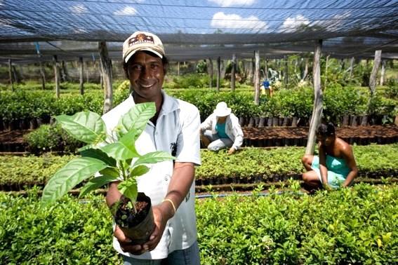 No Espírito Santo, órgãos públicos já contrataram mais de R$ 1,6 milhão de microempreendedores e agricultores familiares pelo Contrata+Brasil