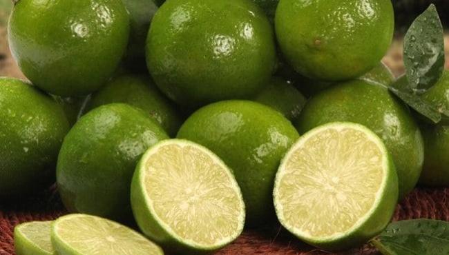 11 alimentos que contribuem para o funcionamento dos rins
