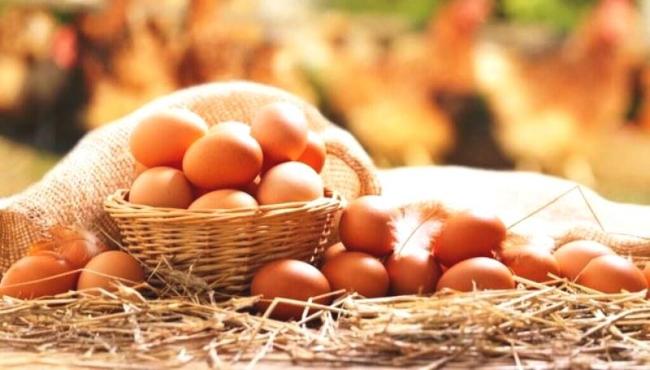 7 tipos de alimentos ricos em proteínas