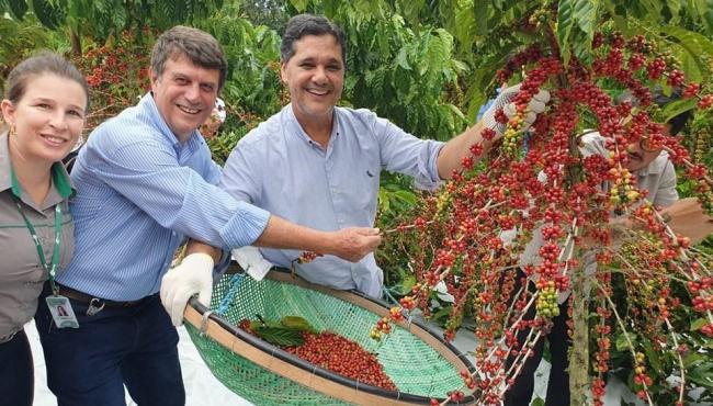 Abertura da colheita do Café Conilon no Estado é realizada em Jaguaré, ES