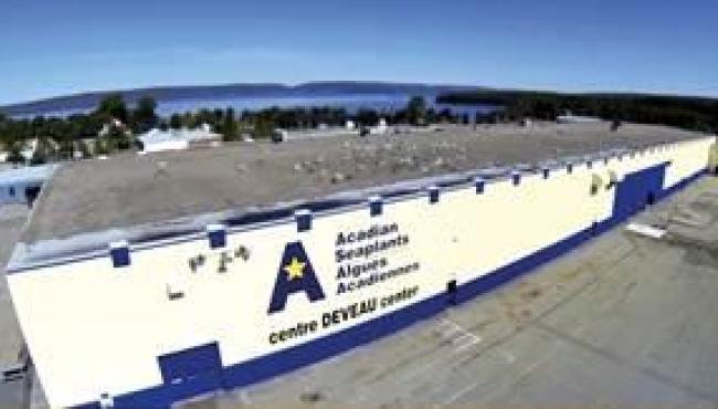 Acadian fortalece operação nas Américas para crescer no mercado de biossoluções à base de alga marinha