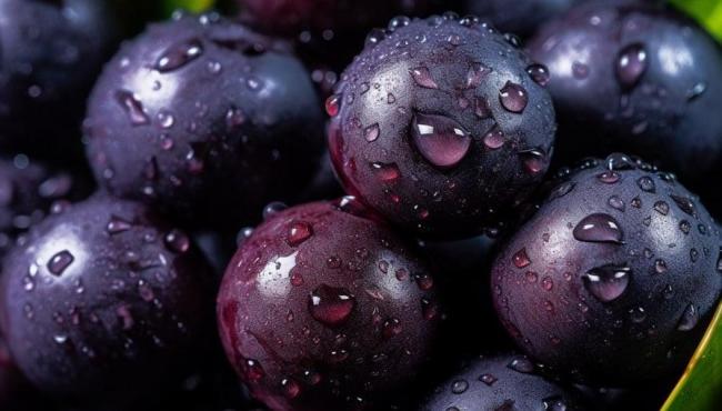 Açaí auxilia na regeneração muscular e reduz exaustão durante treino