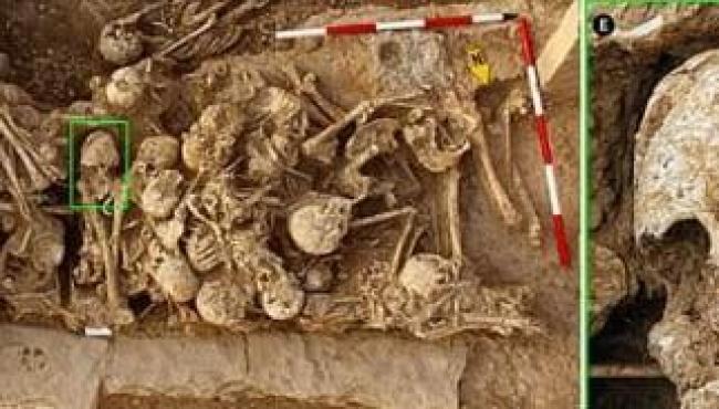 Adolescente de 6.200 anos atrás com crânio em formato de cone é desenterrada no Irã