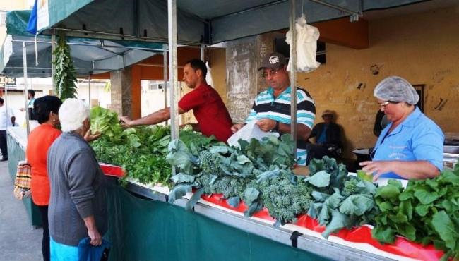 Agricultores inovam para comercializar seus produtos durante a pandemia de Covid-19