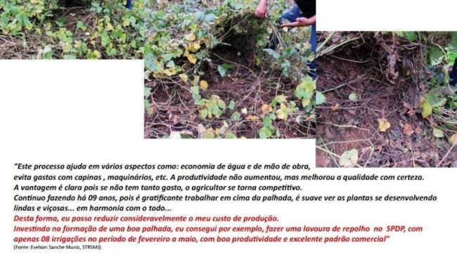 Agricultores recebem informações por meio do calendário de 2020