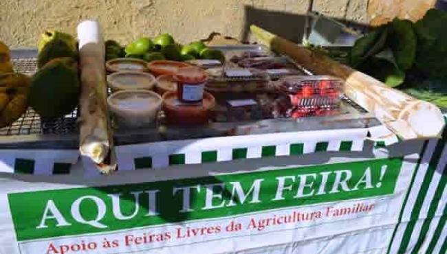 Agricultura familiar amplia canais de comercialização em Conceição da Barra
