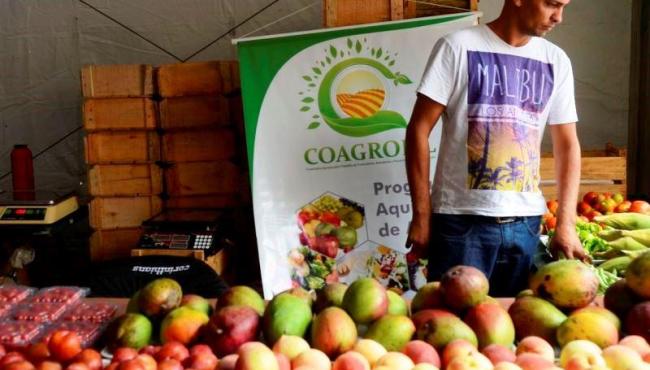 Agricultura prorroga validade de declaração do pequeno produtor