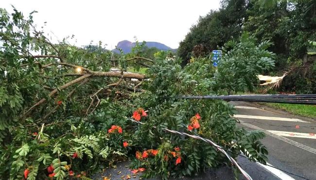 Alerta de tempestade: frente fria amplia instabilidade na Região Sul