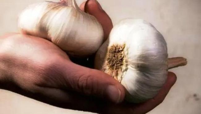 Alho não é tudo igual: Conheça as diferenças entre o branco e o roxo