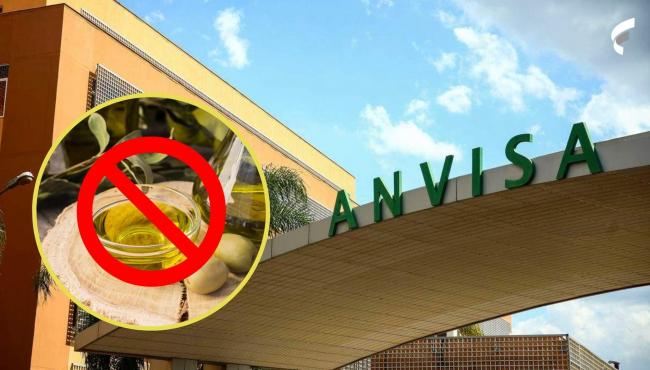 Anvisa proíbe venda, fabricação e consumo de azeites; veja marcas