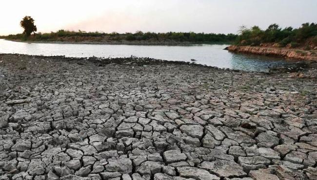 Após seca de 3 anos, lendário Jardim do Éden está virando um deserto, no Iraque