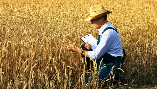 Aposentadoria rural: saiba como funciona e quem tem direito a ela