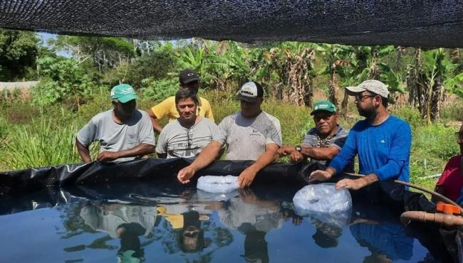 Aquaponia: projeto incentiva produção de peixes e hortaliças em aldeia indígena de Aracruz, ES