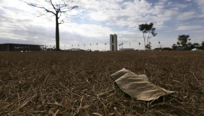 Aquecimento além de 1,5°C ameaça saúde, agricultura e economia