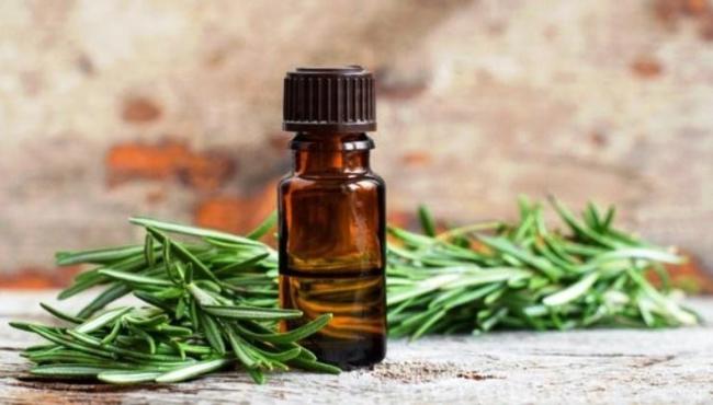 Aromaterapia: conheça a função de 5 óleos essenciais