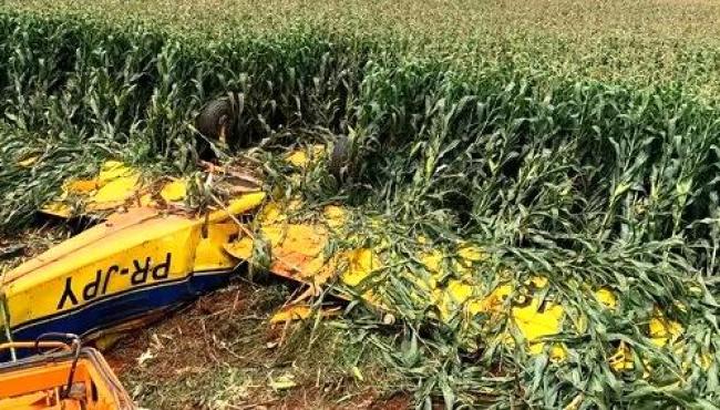 Avião agrícola cai em plantação de milho e piloto morre
