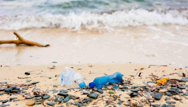 Bahia e Espírito Santo lideram poluição por microplásticos no litoral brasileiro