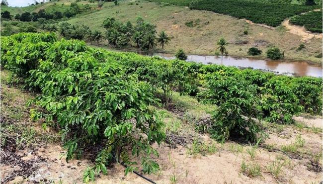 Bandes realiza leilão de imóveis rurais e urbanos, no Espírito Santo, nesta quarta-feira (4)