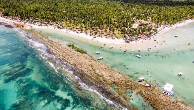 Barulho de barco e de turistas afeta comunicação de peixes, diz estudo