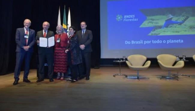 BNDES aprova R$ 250 milhões para a Suzano restaurar 24 mil hectares de Cerrado, Mata Atlântica e Amazônia