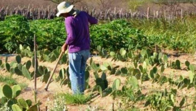 BNDES e fundo internacional criam projeto de R$ 1 bilhão para Semiárido