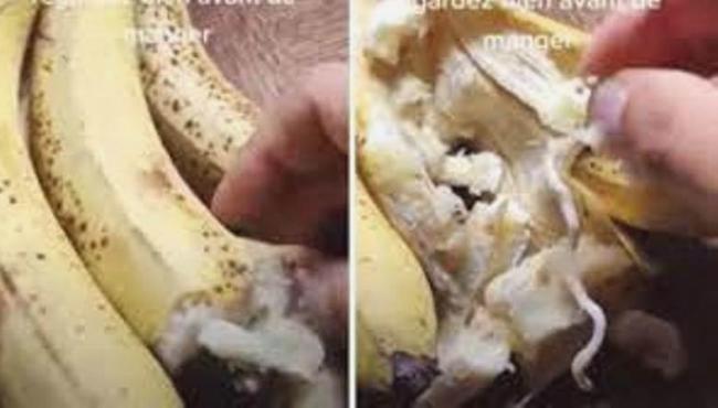 Brasil importou 500 toneladas de banana contaminada da Somália?: É fake News