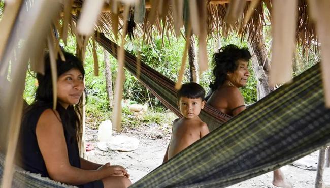 Brasil lidera número de povos isolados, mas há lacunas na proteção