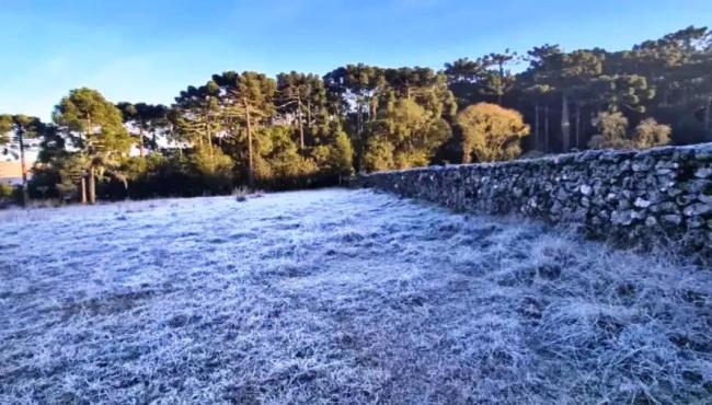 Brasil pode ter frio mais intenso do século, com neve e sensação de -25ºC