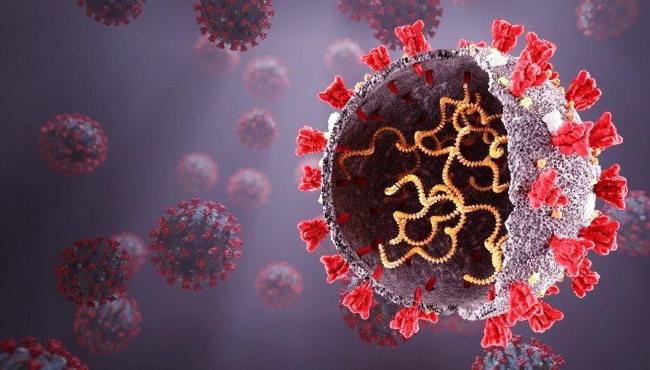 Brasil registra 672 mortes por covid-19 em 24h; total vai a 585.846