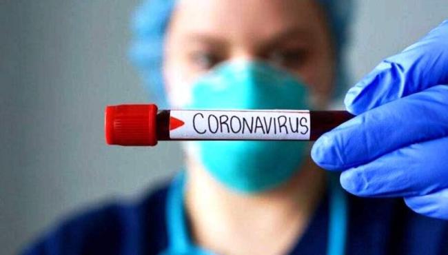 Brasil registra mais de 800 mortes e 53 mil casos de Covid-19 em apenas um dia