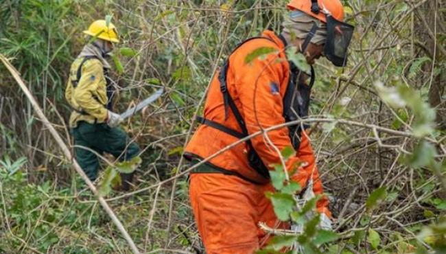 Brasil registra menor número de queimadas da série histórica em agosto