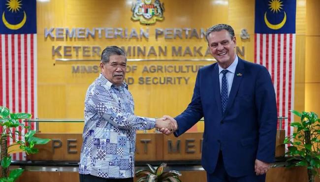 Brasil retoma exportações de carne de frango para a Malásia