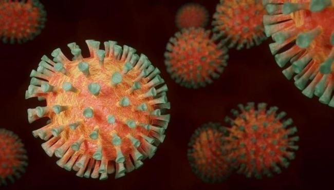 Brasil tem 10,2 mil novos casos de Covid-19 e 97 mortes em 24 horas