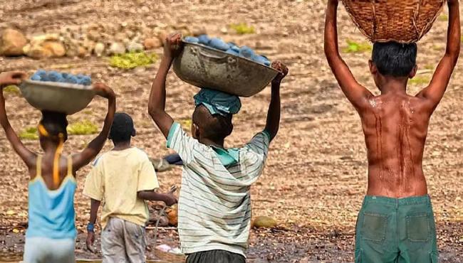Brasil tem redução recorde na lista Piores Formas de Trabalho Infantil