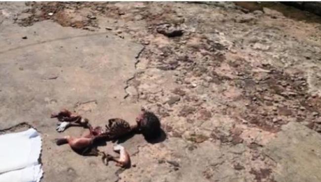 Cadáver de criança é devorado por urubus no portão do cemitério