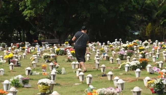 Cães e gatos podem ser sepultados em jazigos familiares em São Paulo