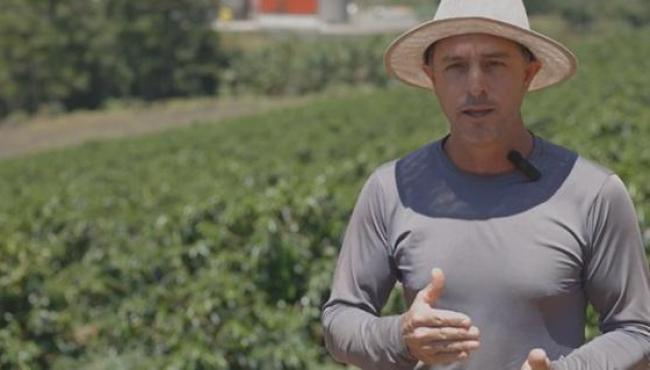 Cafeicultores do Espírito Santo contam no Youtube sua experiência com cultivares de café arábica desenvolvidas pelo instituto