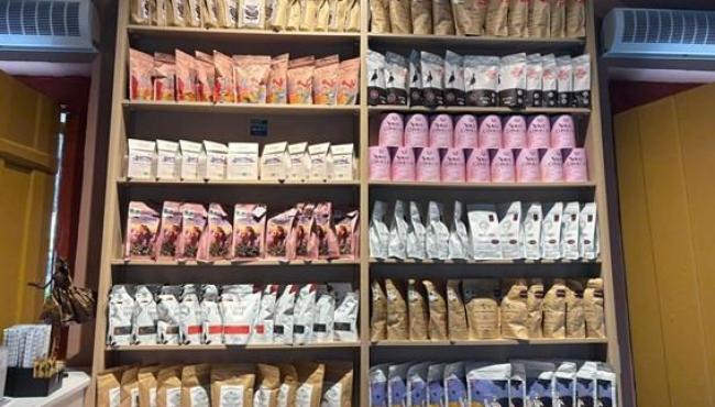 Cafés especiais produzidos por mulheres do Espírito Santo ganham espaço no mercado mineiro