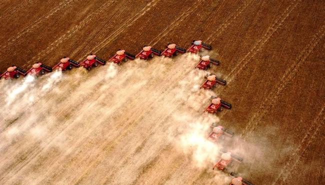 Caixa amplia para R$ 12 bilhões a oferta de crédito agrícola