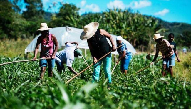 Câmara aprova auxílio emergencial para agricultor familiar na pandemia