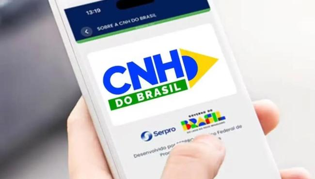 Câmara aprova MP que prevê renovação automática de CNH