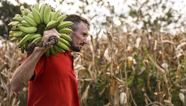 Câmara aprova uso de recursos do FGO em operações do Pronaf