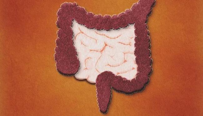 Câncer de intestino: conheça sintomas e por que fazer exame preventivo